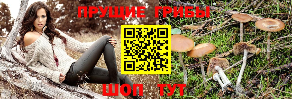 Галлюциногенные грибы MAGIC MUSHROOMS Калуга