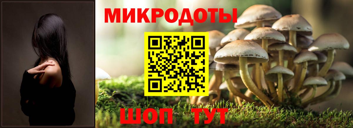 Псилоцибиновые грибы ЛСД  Псилоцибиновые грибы ЛСД  Вход с VPN  Калуга 